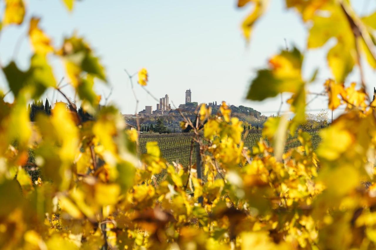 Locanda Dei Logi San Gimignano Exteriér fotografie